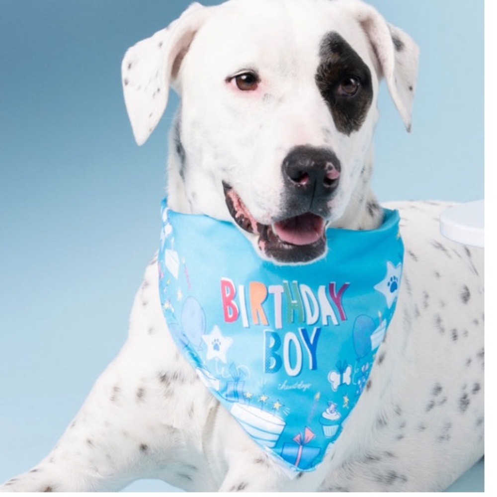 New in bag dog birthday boy bandanna